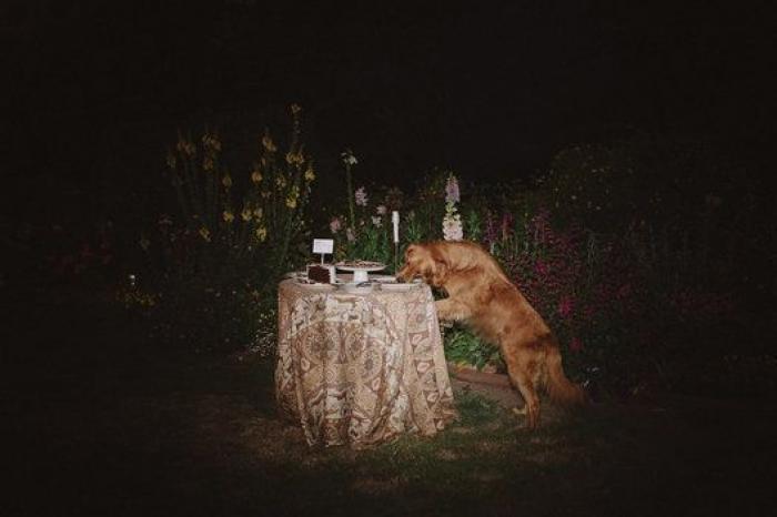 El baile de esta novia y su padre te pondrá de buen humor para toda la semana