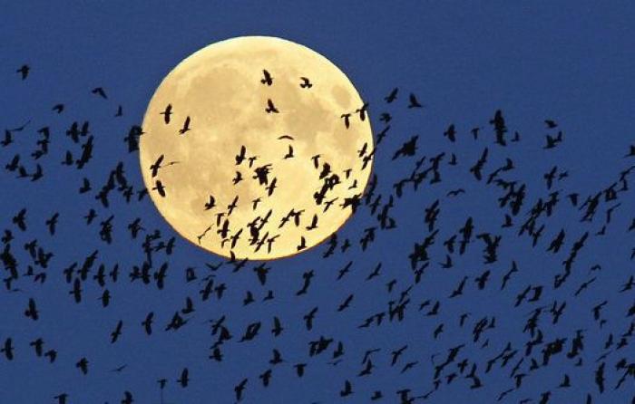La falsa superluna sobre Cadaqués de Pilar Rahola que desata el cachondeo en Twitter