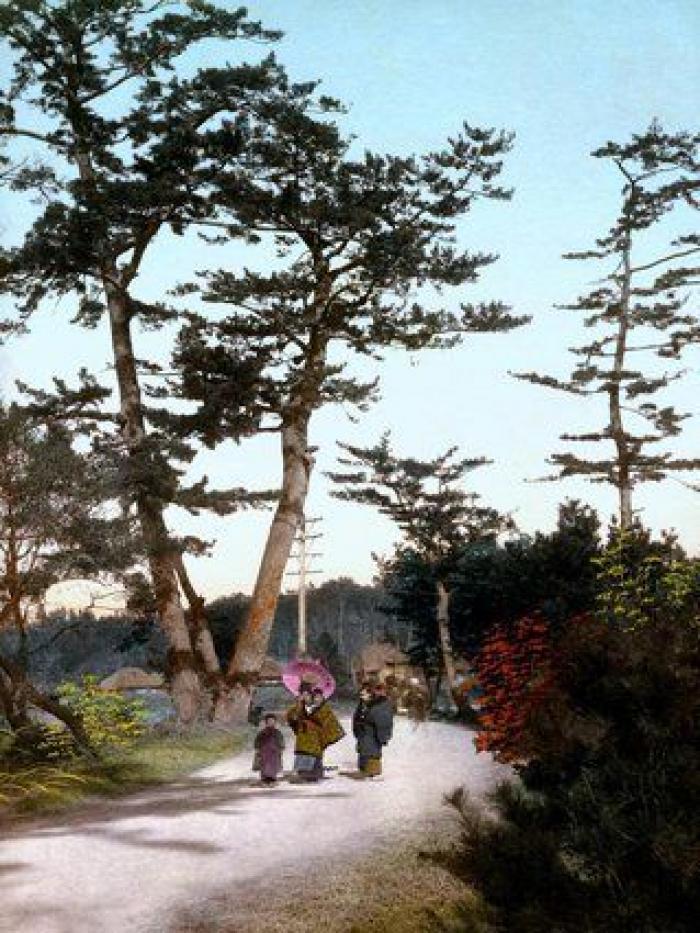 Los japoneses tendrán que tomarse al menos cinco días de vacaciones al año