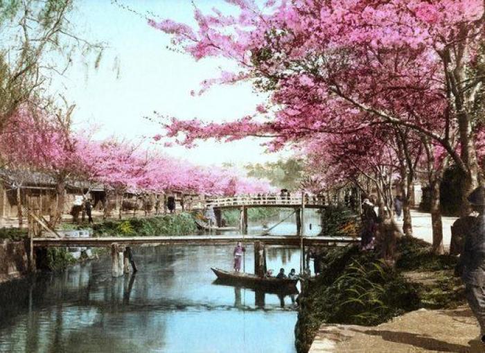 Los japoneses tendrán que tomarse al menos cinco días de vacaciones al año