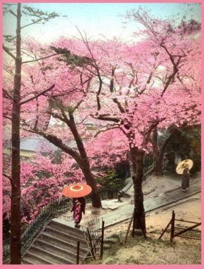 Los japoneses tendrán que tomarse al menos cinco días de vacaciones al año