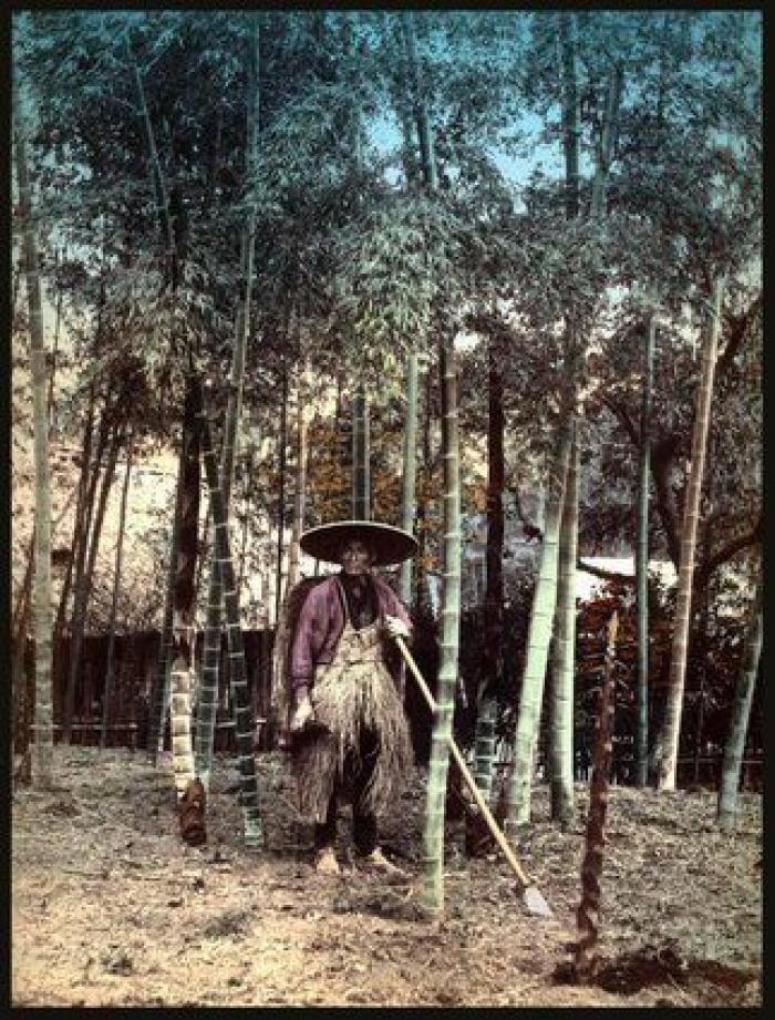 Los japoneses tendrán que tomarse al menos cinco días de vacaciones al año