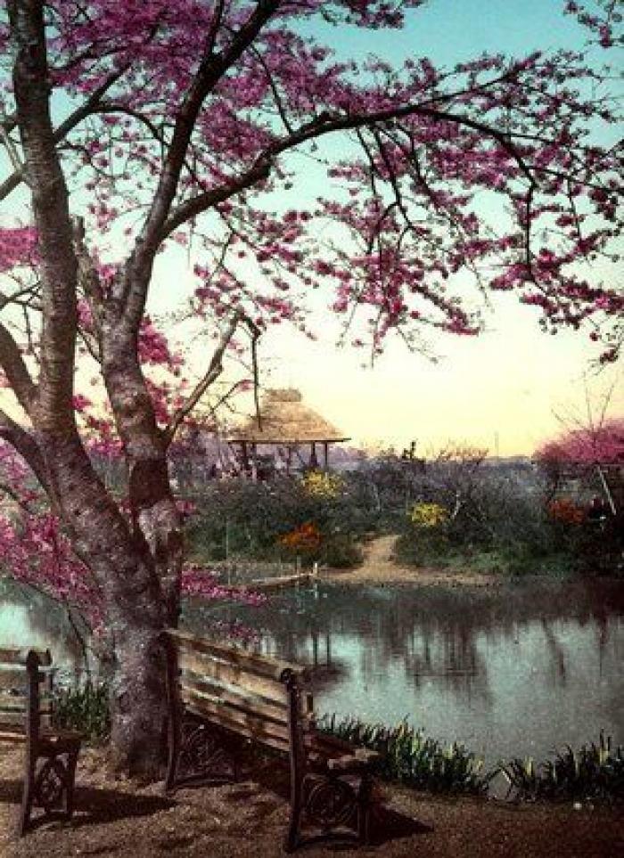 Los japoneses tendrán que tomarse al menos cinco días de vacaciones al año