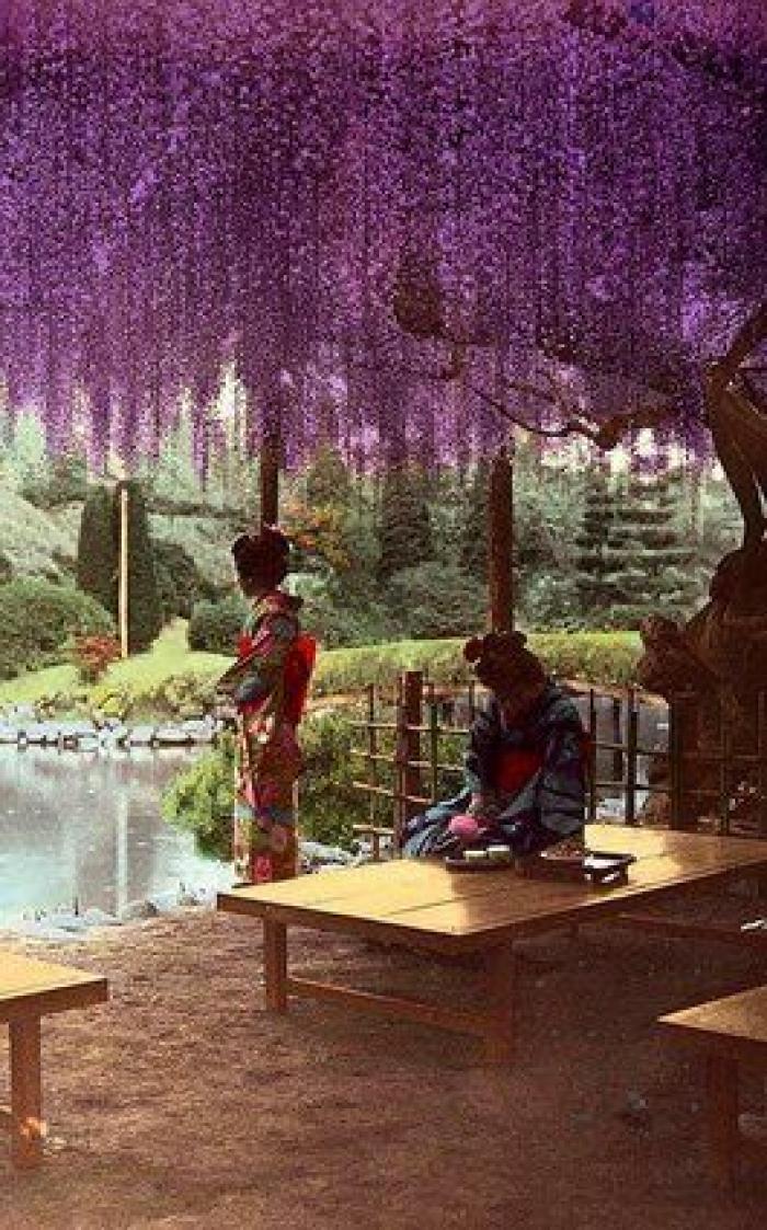 Los japoneses tendrán que tomarse al menos cinco días de vacaciones al año