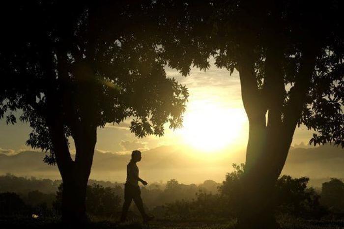 Christian Grey como postre, el cisne congelado y otras 8 fotos del viernes