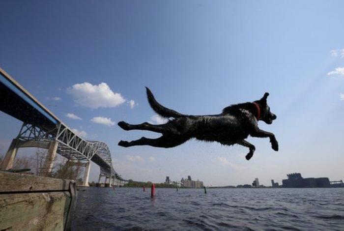 Christian Grey como postre, el cisne congelado y otras 8 fotos del viernes