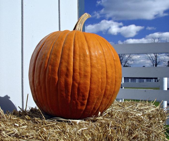 Cinco alimentos que compras siempre y no son lo que crees: la denuncia de la OCU que te va a abrir los ojos