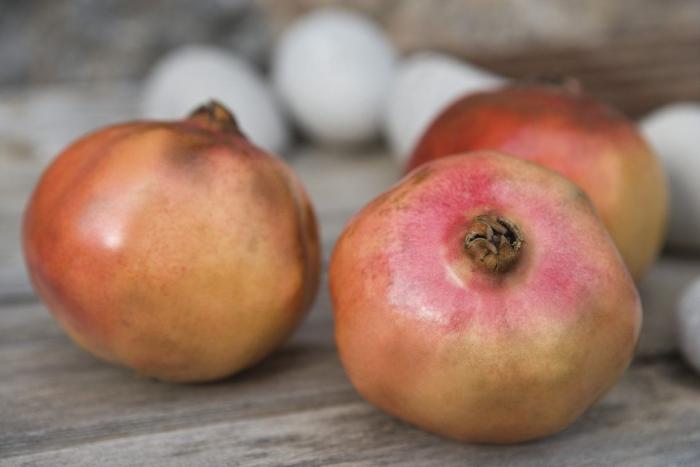 Cinco alimentos que compras siempre y no son lo que crees: la denuncia de la OCU que te va a abrir los ojos