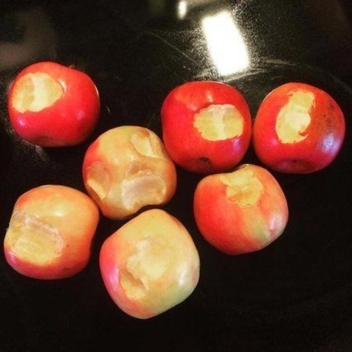 El genial truco de este padre para enseñar a andar a su bebé con un aro