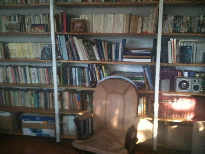 Decorar con libros: ideas (FOTOS)