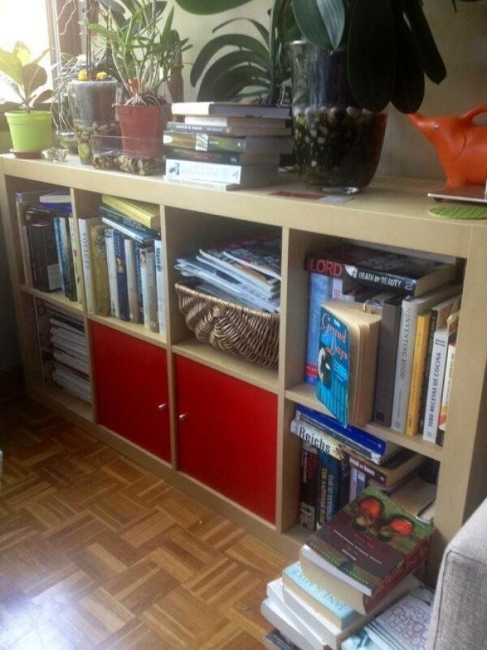 Decorar con libros: ideas (FOTOS)