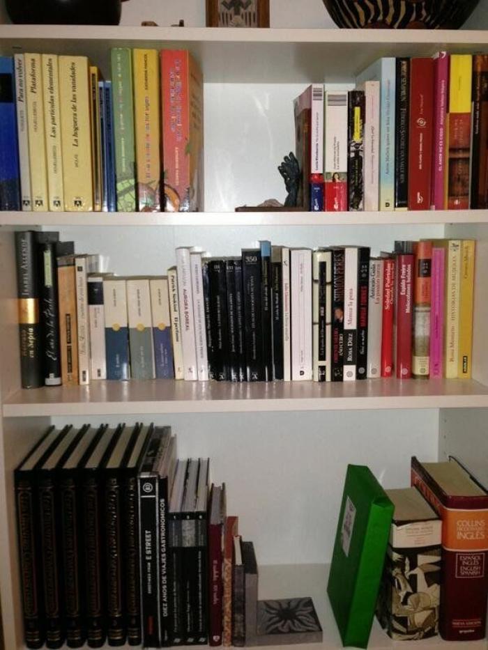 Decorar con libros: ideas (FOTOS)