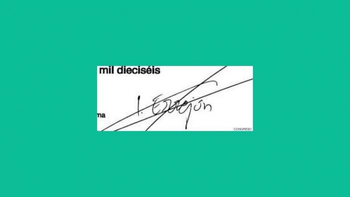 Los verdes alemanes, el modelo que Errejón trata de extrapolar a su Más País