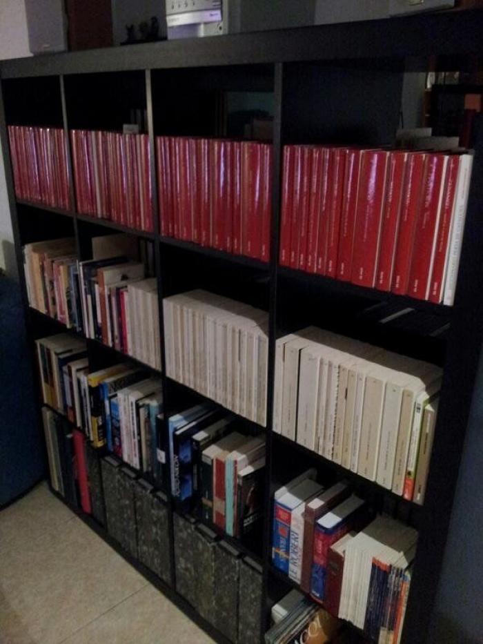 Decorar con libros: ideas (FOTOS)