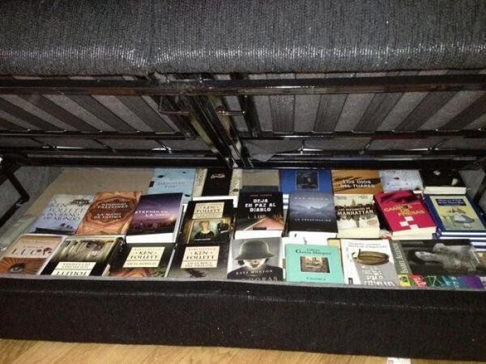 Decorar con libros: ideas (FOTOS)