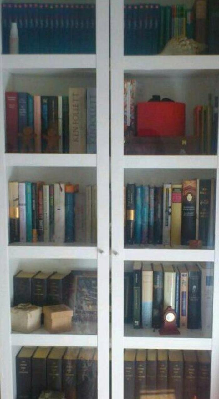 Decorar con libros: ideas (FOTOS)