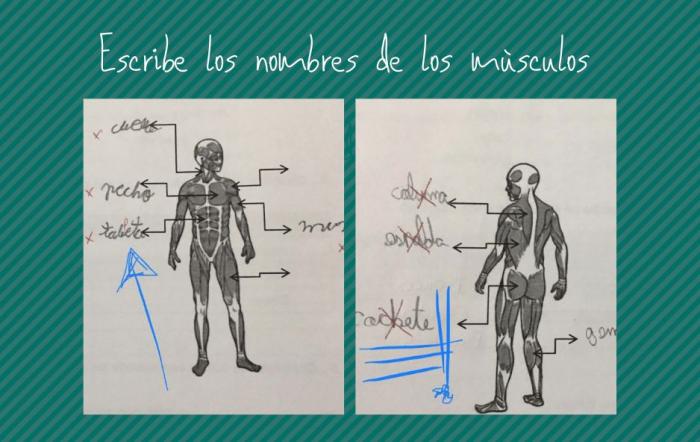 La respuesta de un niño a un simple ejercicio de clase va camino de hacer historia en Twitter