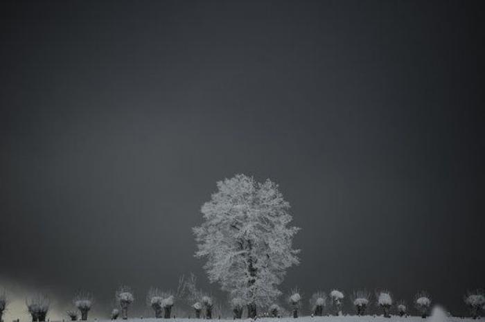 9 fotos curiosas o impresionantes que nos deja el temporal de nieve