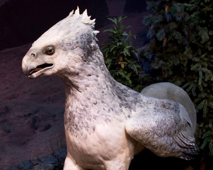 El detalle de Voldemort en 'Harry Potter' que siempre pasó desapercibido