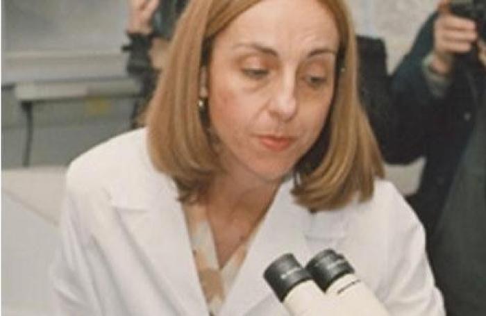 La emocionante transformación de un gorrilla gracias a una peluquería mallorquina