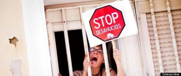 La emocionante transformación de un gorrilla gracias a una peluquería mallorquina