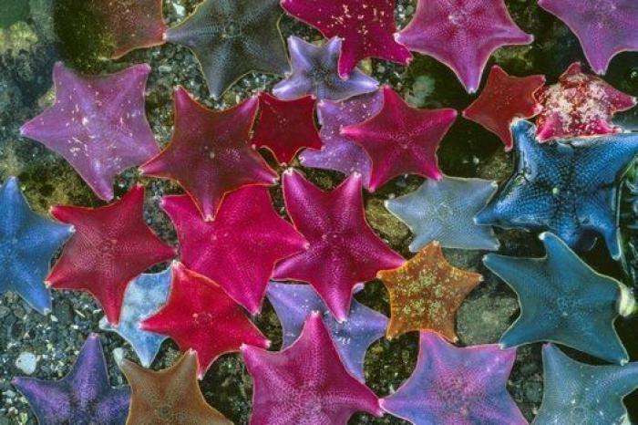 Frank Cuesta, cerca de perder un dedo por la mordedura de una víbora