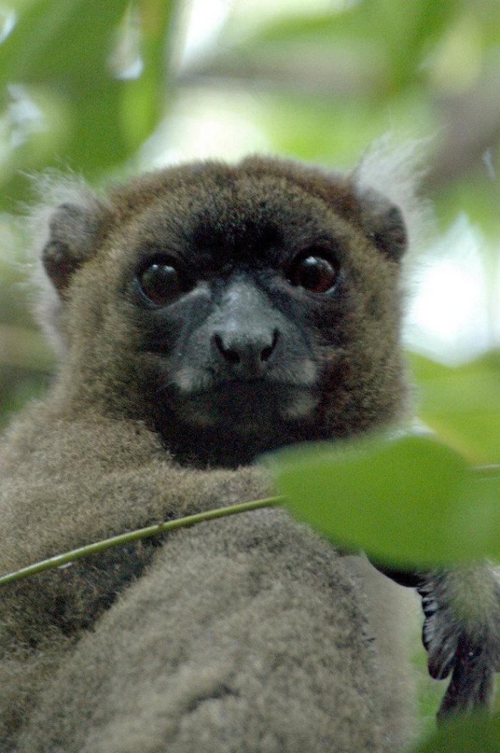 Estos son los paraísos en la Tierra que hay que salvar (FOTOS)