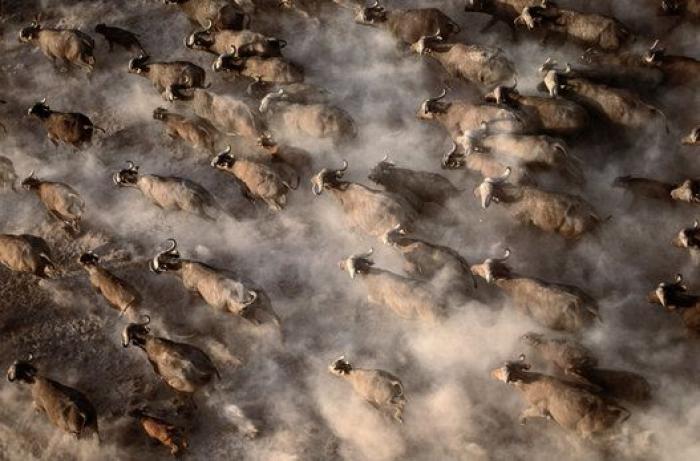 Frank Cuesta, cerca de perder un dedo por la mordedura de una víbora