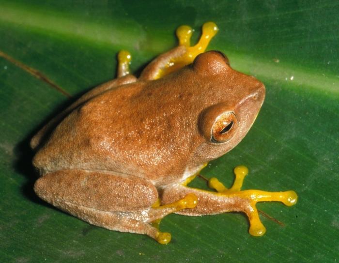 Estos son los paraísos en la Tierra que hay que salvar (FOTOS)