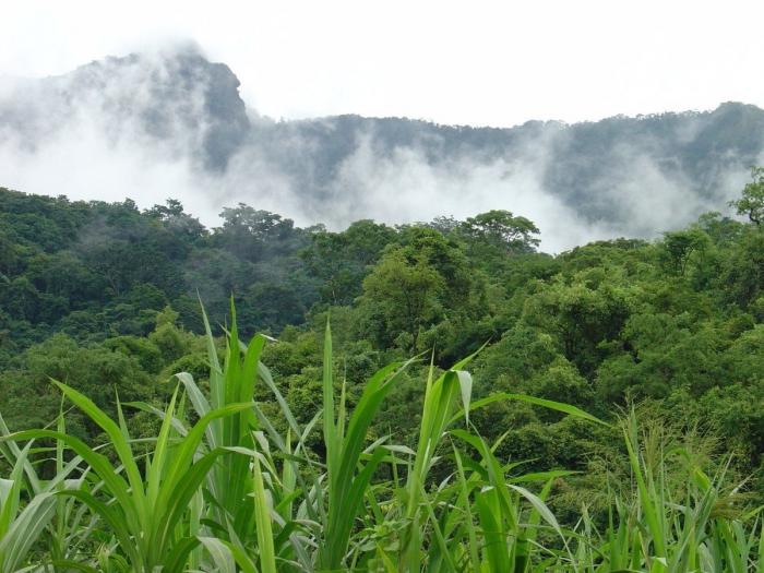 Estos son los paraísos en la Tierra que hay que salvar (FOTOS)