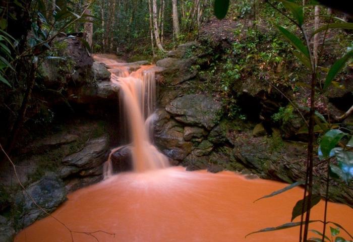 Estos son los paraísos en la Tierra que hay que salvar (FOTOS)
