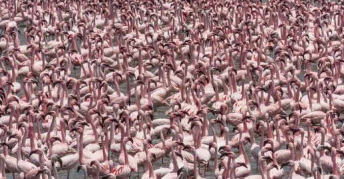 Frank Cuesta, cerca de perder un dedo por la mordedura de una víbora