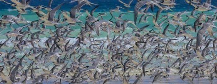 Frank Cuesta, cerca de perder un dedo por la mordedura de una víbora