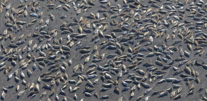 Frank Cuesta, cerca de perder un dedo por la mordedura de una víbora