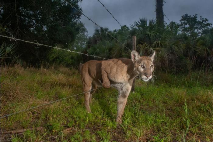 Las fotos ganadoras del World Press Photo 2022