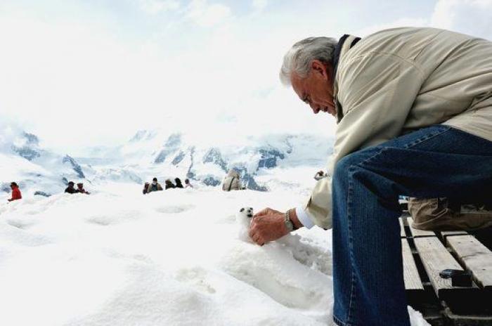 Vivir en zonas más verdes reduce el riesgo de deterioro cognitivo en los mayores