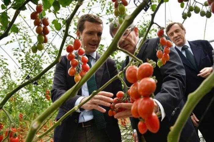 Los partidos buscan un acuerdo para reducir el gasto en publicidad electoral