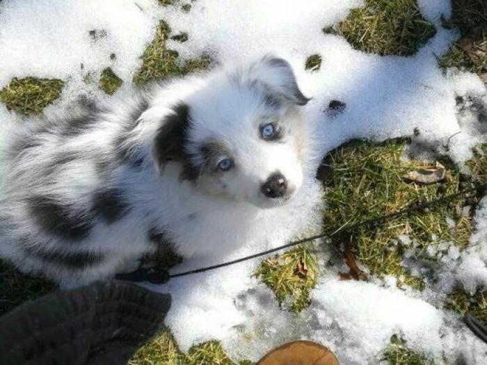 El sugerente dibujo de una medusa que está dando pie a los comentarios más calientes