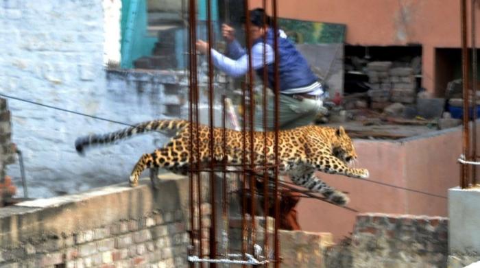 25 imágenes de la semana que no te puedes perder (FOTOS)