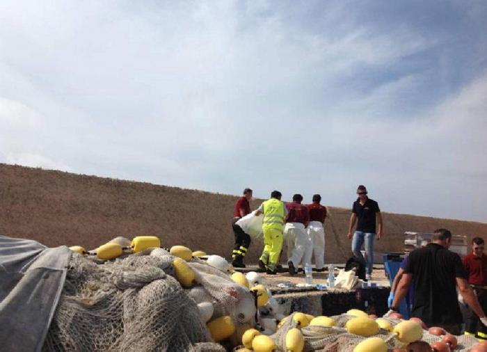 Italia hace un desembarco selectivo de migrantes rescatados en el mar: los hombres, rechazados