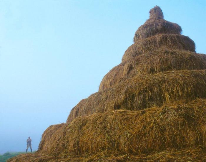 Maderas de artista (FOTOS)