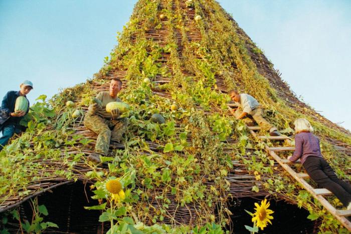 Maderas de artista (FOTOS)