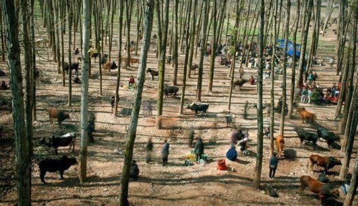 World Press Photo 2014: una pareja gay rusa protagoniza la mejor imagen del año