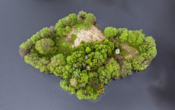 World Press Photo 2014: una pareja gay rusa protagoniza la mejor imagen del año