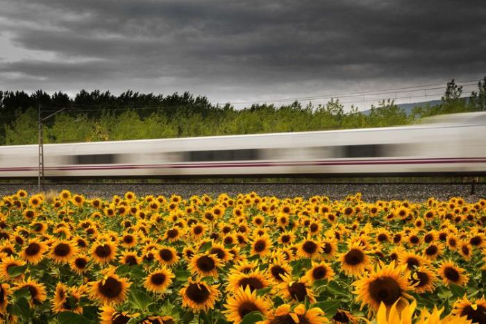 Cristina de Middel, Premio Nacional de Fotografía 2017