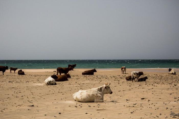 Cristina de Middel, Premio Nacional de Fotografía 2017