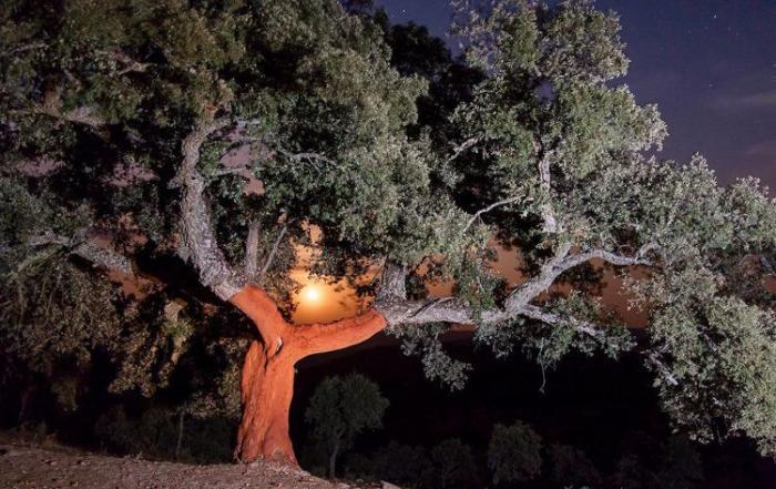 Cristina de Middel, Premio Nacional de Fotografía 2017
