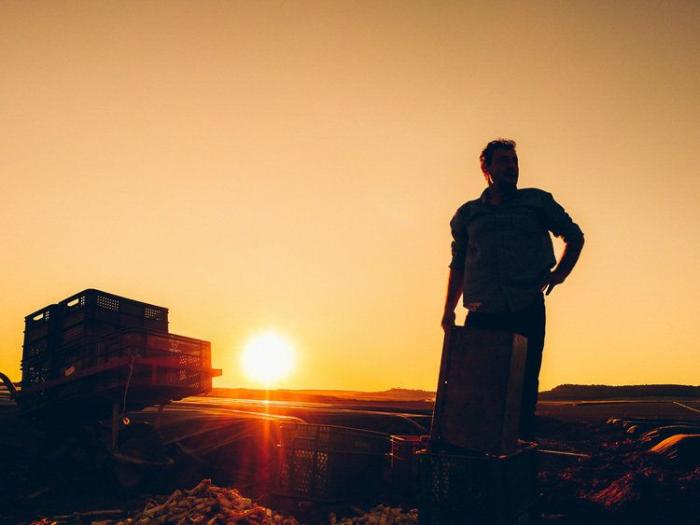 Cristina de Middel, Premio Nacional de Fotografía 2017