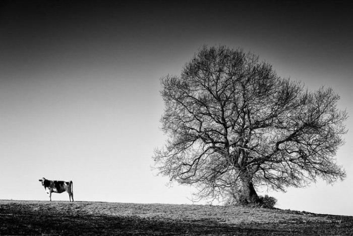 Cristina de Middel, Premio Nacional de Fotografía 2017