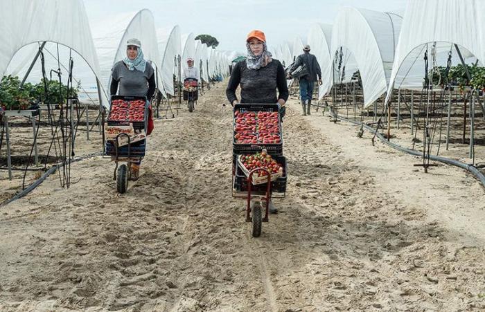 Cristina de Middel, Premio Nacional de Fotografía 2017